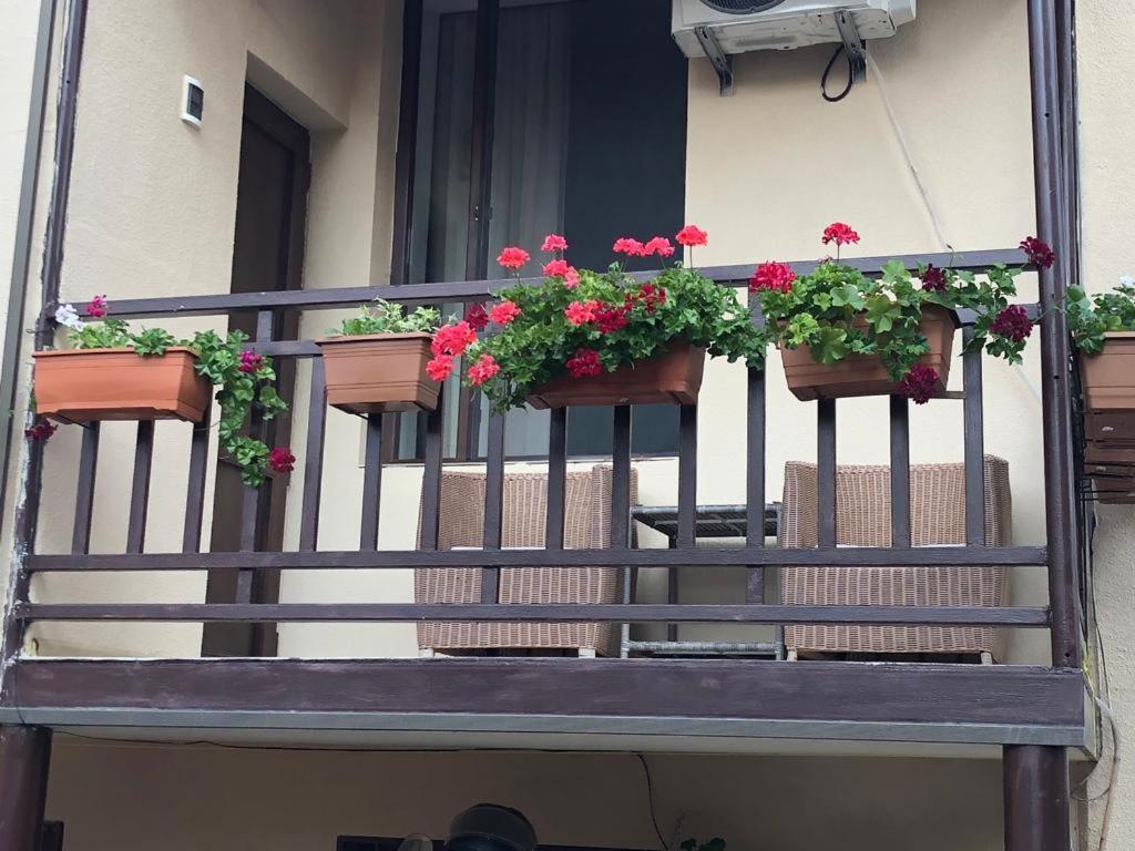 Tinikos Guest House Telavi Ngoại thất bức ảnh