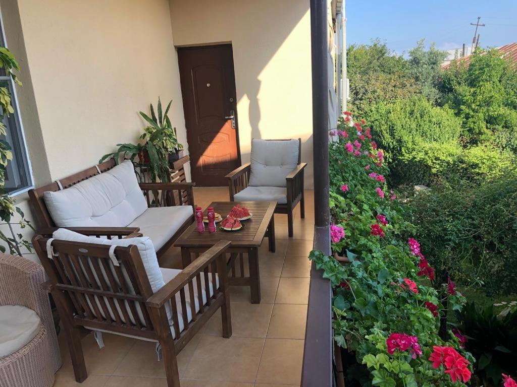 Tinikos Guest House Telavi Ngoại thất bức ảnh
