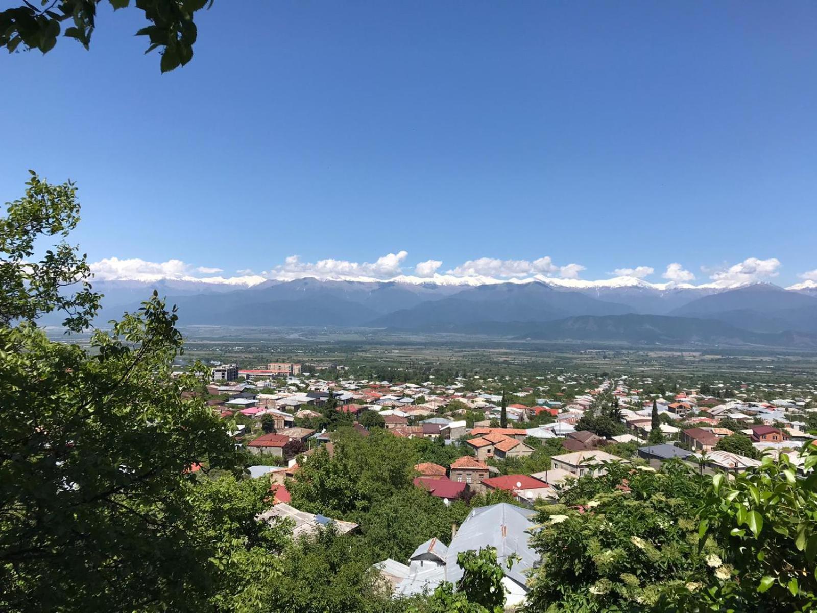 Tinikos Guest House Telavi Ngoại thất bức ảnh