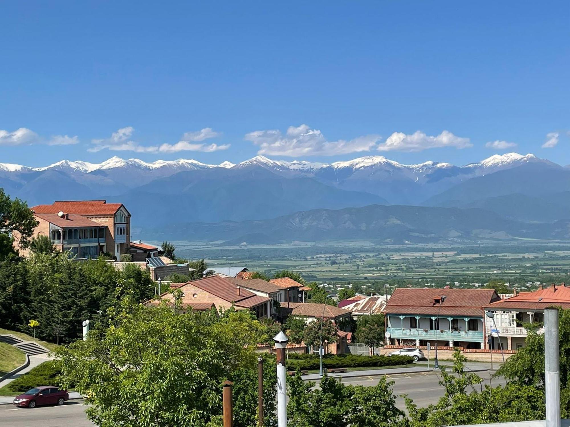 Tinikos Guest House Telavi Ngoại thất bức ảnh
