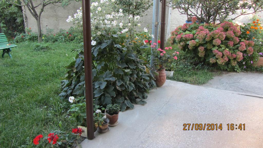 Tinikos Guest House Telavi Ngoại thất bức ảnh