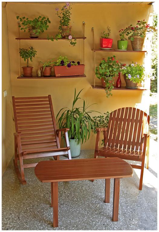 Tinikos Guest House Telavi Ngoại thất bức ảnh