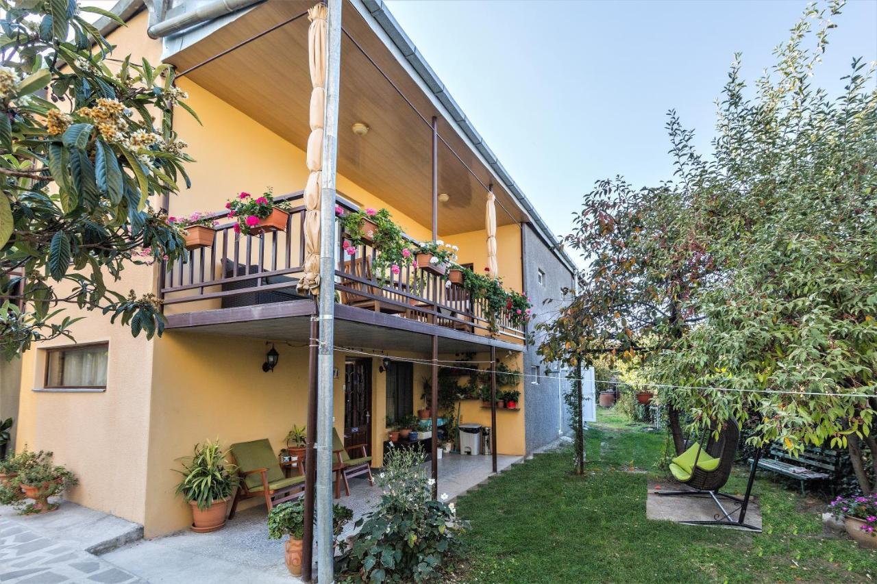 Tinikos Guest House Telavi Ngoại thất bức ảnh