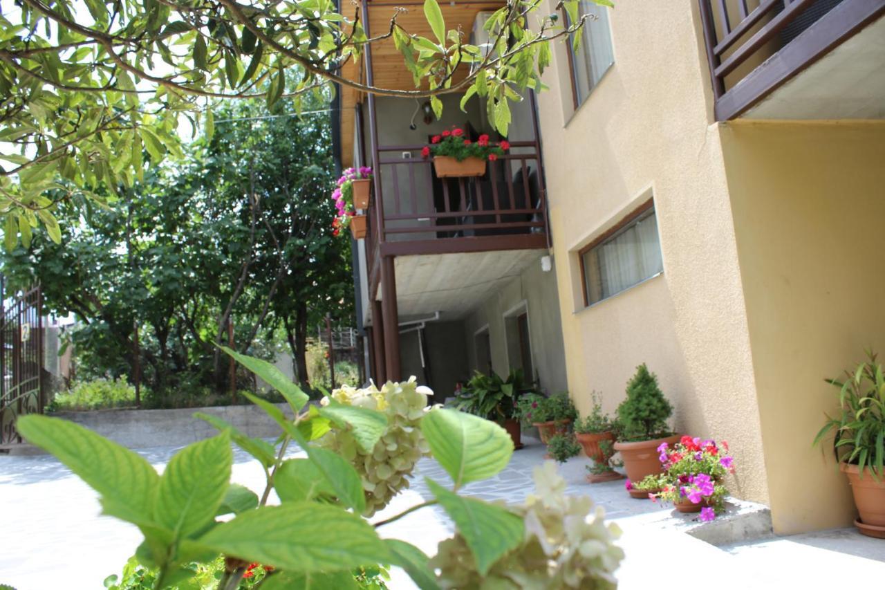 Tinikos Guest House Telavi Ngoại thất bức ảnh