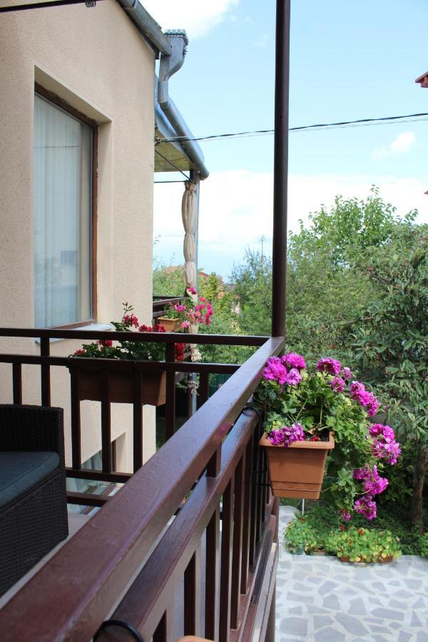 Tinikos Guest House Telavi Ngoại thất bức ảnh