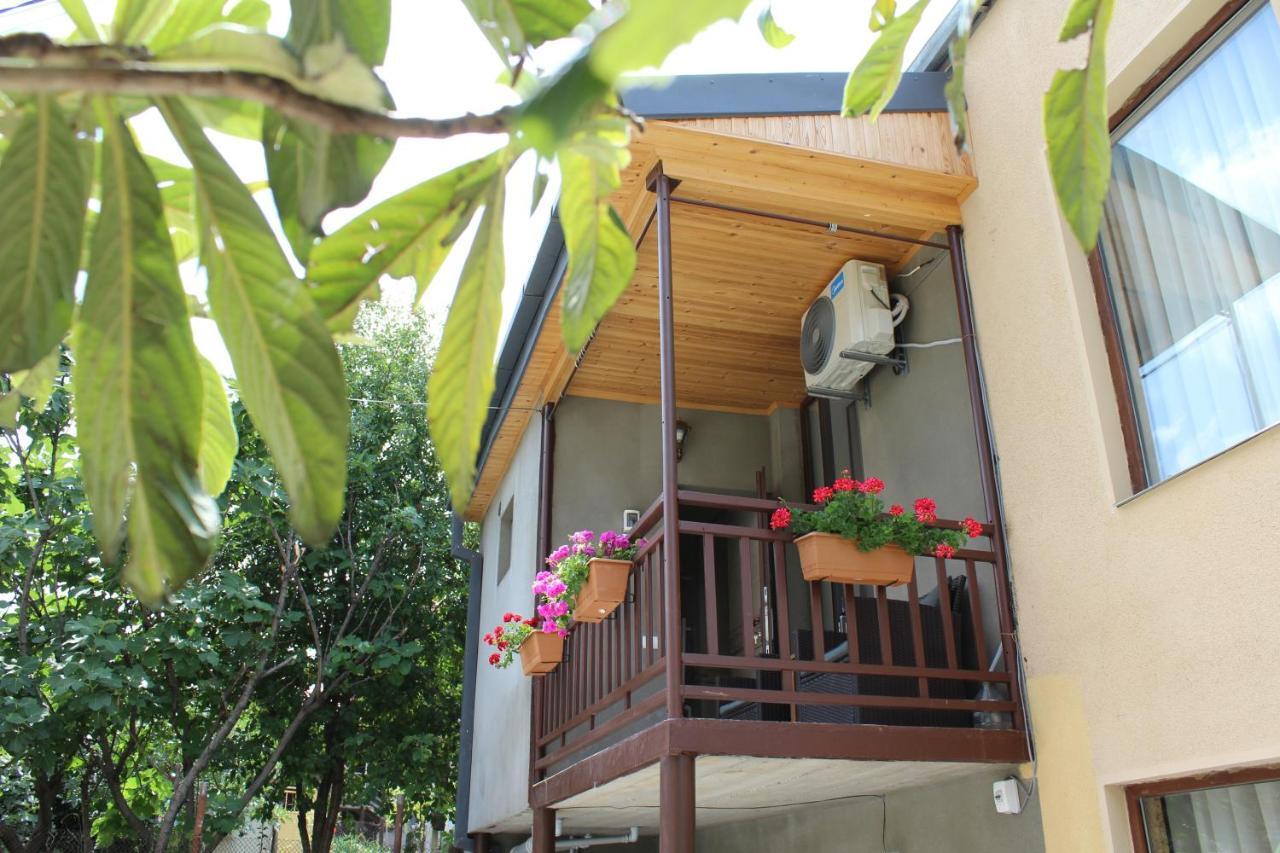 Tinikos Guest House Telavi Ngoại thất bức ảnh